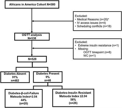 Non-invasive type 2 diabetes risk scores do not identify diabetes when the cause is β-cell failure: The Africans in America study